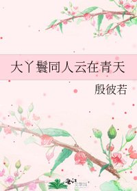 《大丫鬟同人雲在青天》