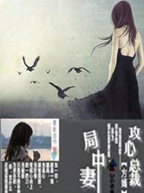 攻心总裁局中妻
