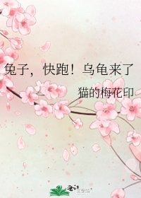 兔子,快跑!乌龟来了