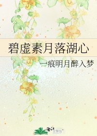 碧虚素月落湖心