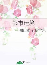 《都市迷境》