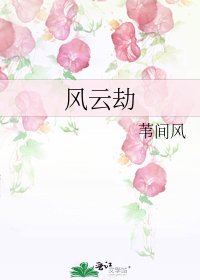 《风云劫》