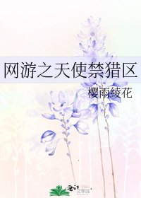 《网游之天使禁猎区》
