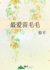 最爱苗毛毛