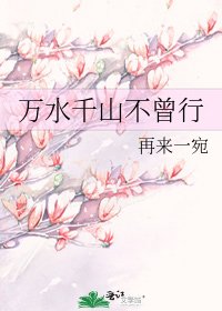 《万水千山不曾行》