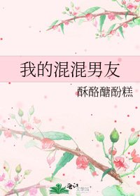 《我的混混男友》