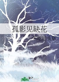 孤影见缺花