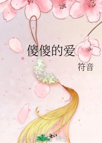 傻傻的愛