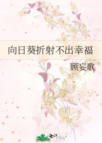 《向日葵折射不出幸福》