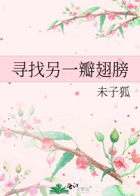 寻找另一瓣翅膀