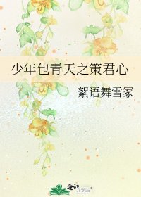 《少年包青天之策君心》