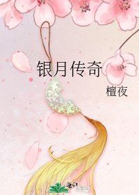 银月传奇