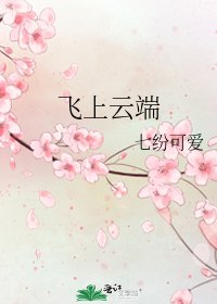飞上云端