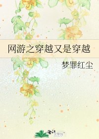 《網遊之穿越又是穿越》