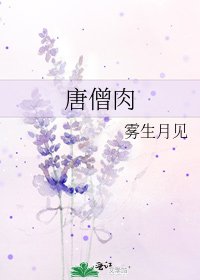 《唐僧肉》