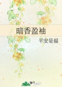 《暗香盈袖》