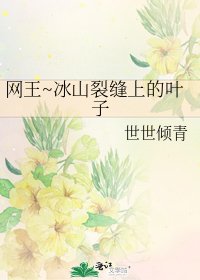 網王~冰山裂縫上的葉子