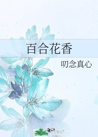 《百合花香》