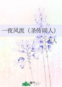 《一夜风流(圣传同人)》