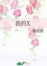 《我的X》