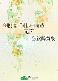 《全職高手韓葉喻黃 無聲》