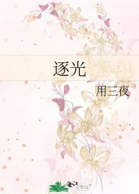 逐光