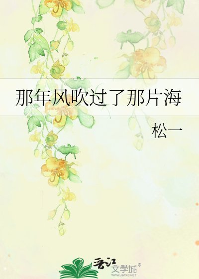 那年风吹过了那片海