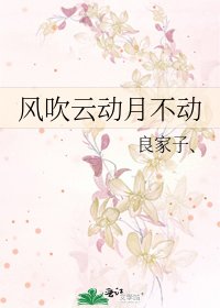 風吹雲動月不動