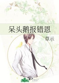 呆头鹅报错恩