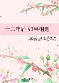 《十二年後 如果相遇》