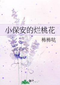 《小保安的烂桃花》