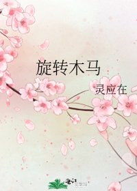 旋转木马