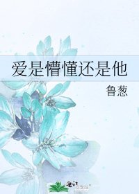 愛是懵懂還是他
