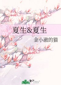 夏生&夏生