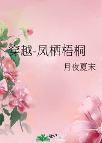 《穿越-鳳棲梧桐》