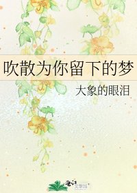 吹散为你留下的梦