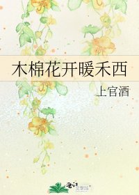 木棉花开暖禾西