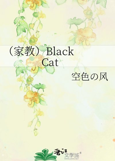 《(家教)Black Cat》