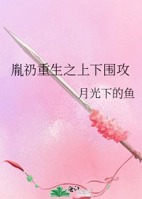 《胤礽重生之上下圍攻》