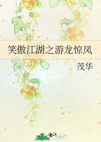 《笑傲江湖之游龙惊凤》