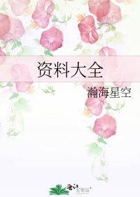 资料大全