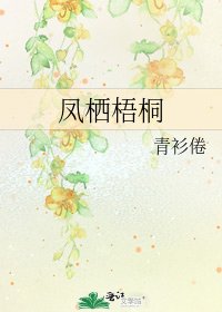 《凤栖梧桐》