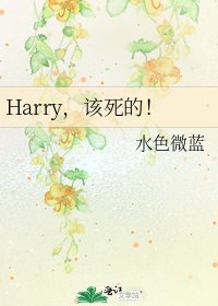 《Harry,該死的!》