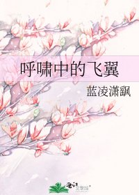呼啸中的飞翼
