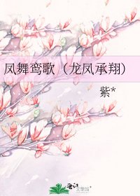 鳳舞鸞歌(龍鳳承翔)