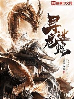 《尋龍迷蹤》