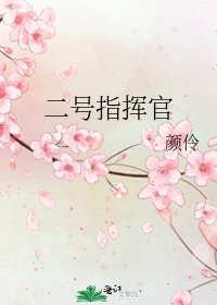 二號指揮官