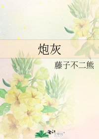 《炮灰》