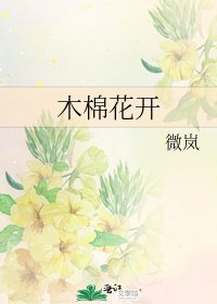 木棉花开