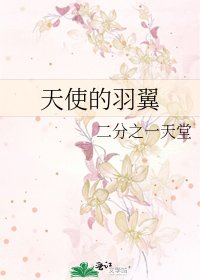 《天使的羽翼》